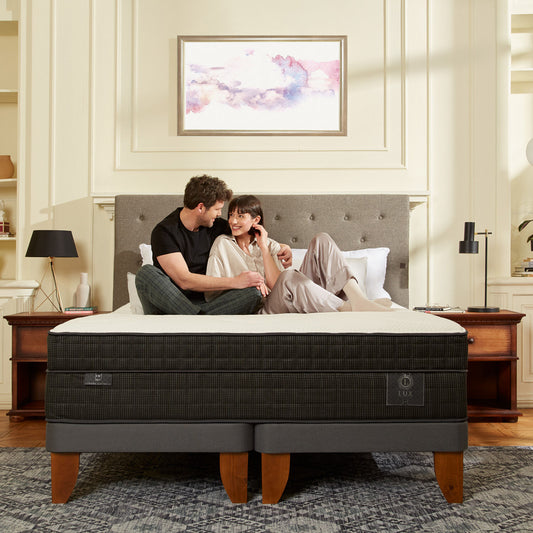 PH CIC | Lux Cama europea base dividida 2 plazas